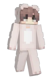 pInCheJoKeR Minecraft avatar full body