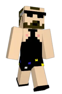 p_X3 Minecraft avatar full body