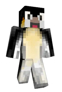 paberg96 Minecraft avatar full body