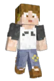 packs5 Minecraft avatar full body