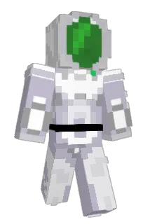 paco2806 Minecraft avatar full body