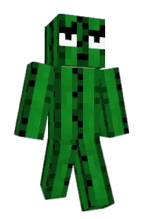 paelliott Minecraft avatar full body