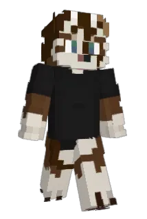 paintjob Minecraft avatar full body