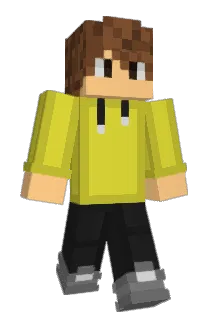 pajolo Minecraft avatar full body