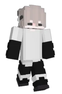 pakiblaster Minecraft avatar full body