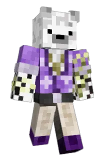 paladinjr Minecraft avatar full body