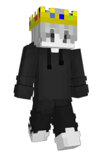 palesky1234 Minecraft avatar full body
