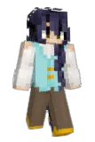 palmplayers Minecraft avatar full body