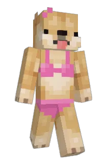 panchuk Minecraft avatar full body