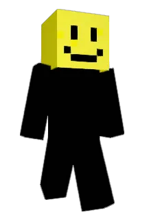 panda6917 Minecraft avatar full body