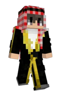 pandabier538 Minecraft avatar full body