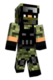 pandafinn1 Minecraft avatar full body