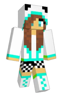 panersky Minecraft avatar full body