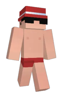 pankiti1003 Minecraft avatar full body