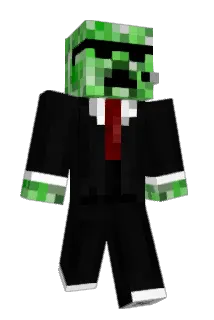 panseit Minecraft avatar full body