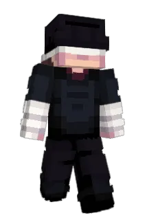 pansxd Minecraft avatar full body
