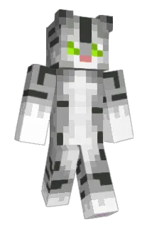 panzi3 Minecraft avatar full body