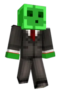 paol Minecraft avatar full body