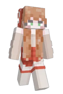 papasavoy Minecraft avatar full body