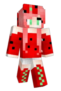papasol Minecraft avatar full body