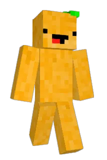 papdichaat Minecraft avatar full body