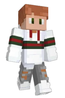 papin_sule Minecraft avatar full body