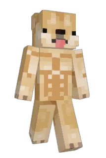 papitaconwebo Minecraft avatar full body