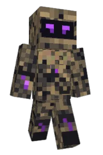parker251 Minecraft avatar full body