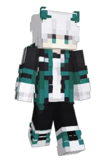 parkwonny Minecraft avatar full body