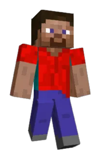 parkyhong Minecraft avatar full body