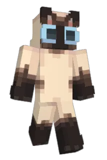 parmaaaaa Minecraft avatar full body