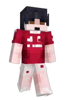 parmegiani Minecraft avatar full body