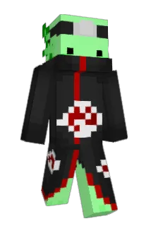 parrot_ali Minecraft avatar full body