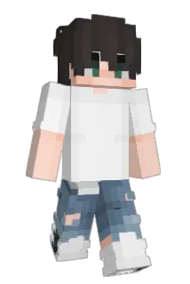 parrotek_ Minecraft avatar full body