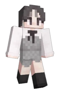 parrton Minecraft avatar full body
