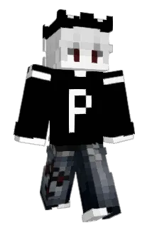 parsa8096 Minecraft avatar full body