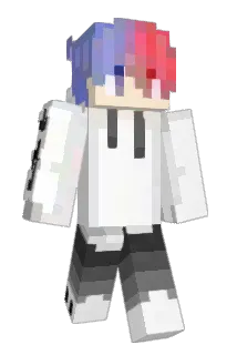 parskor9913 Minecraft avatar full body