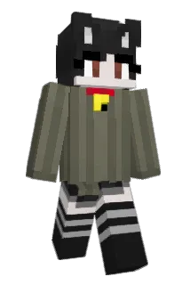 party251 Minecraft avatar full body