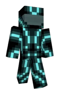 passibox Minecraft avatar full body