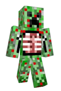 pat1030 Minecraft avatar full body