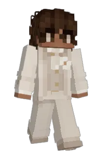 pater711 Minecraft avatar full body
