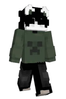 pato0317 Minecraft avatar full body