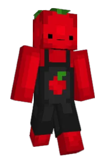 patolau99 Minecraft avatar full body