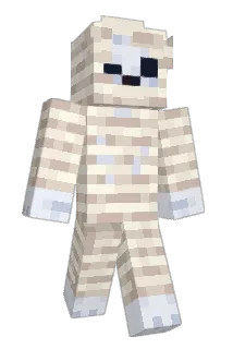patridgeNF Minecraft avatar full body