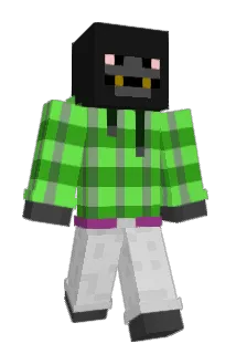 pauls3000 Minecraft avatar full body