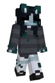 paurito Minecraft avatar full body