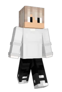 paux_15 Minecraft avatar full body
