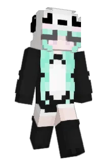 pawnted Minecraft avatar full body