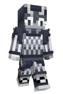 paxus1 Minecraft avatar full body