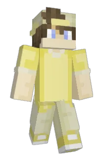 pbees Minecraft avatar full body